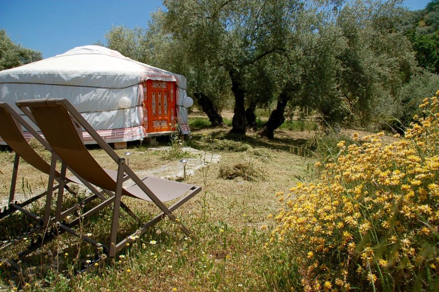 Yurt in olijfgaard zuid spanje