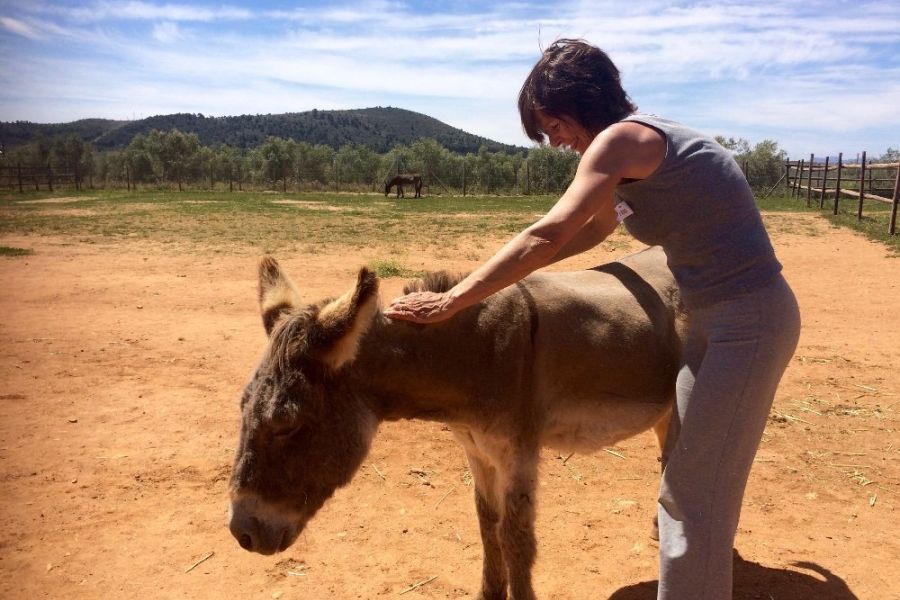 Ezelopvang in Fuente de Piedra