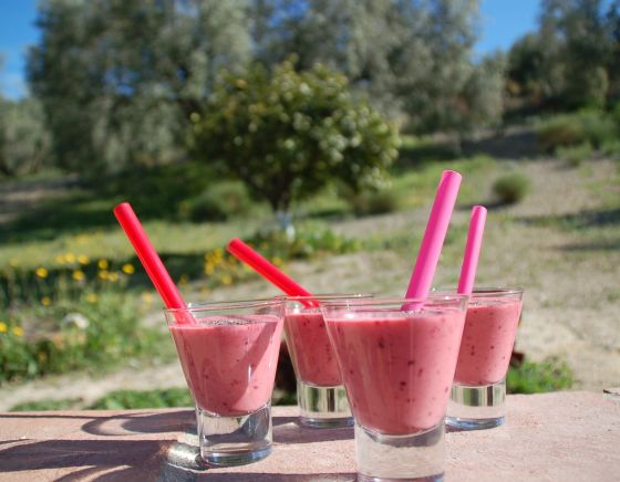 Ontbijt bij b&b Andalusië met heerlijke smoothie