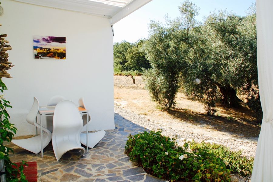 privé-terras vakantiehuis in olijfgaard