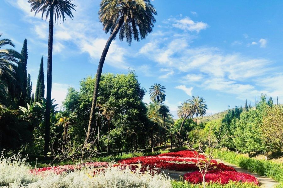 Botanische tuinen van Malaga
