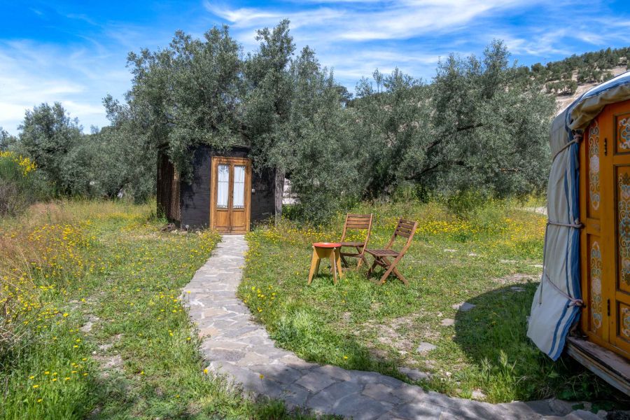 yurtvakantie bij belgen in de natuur