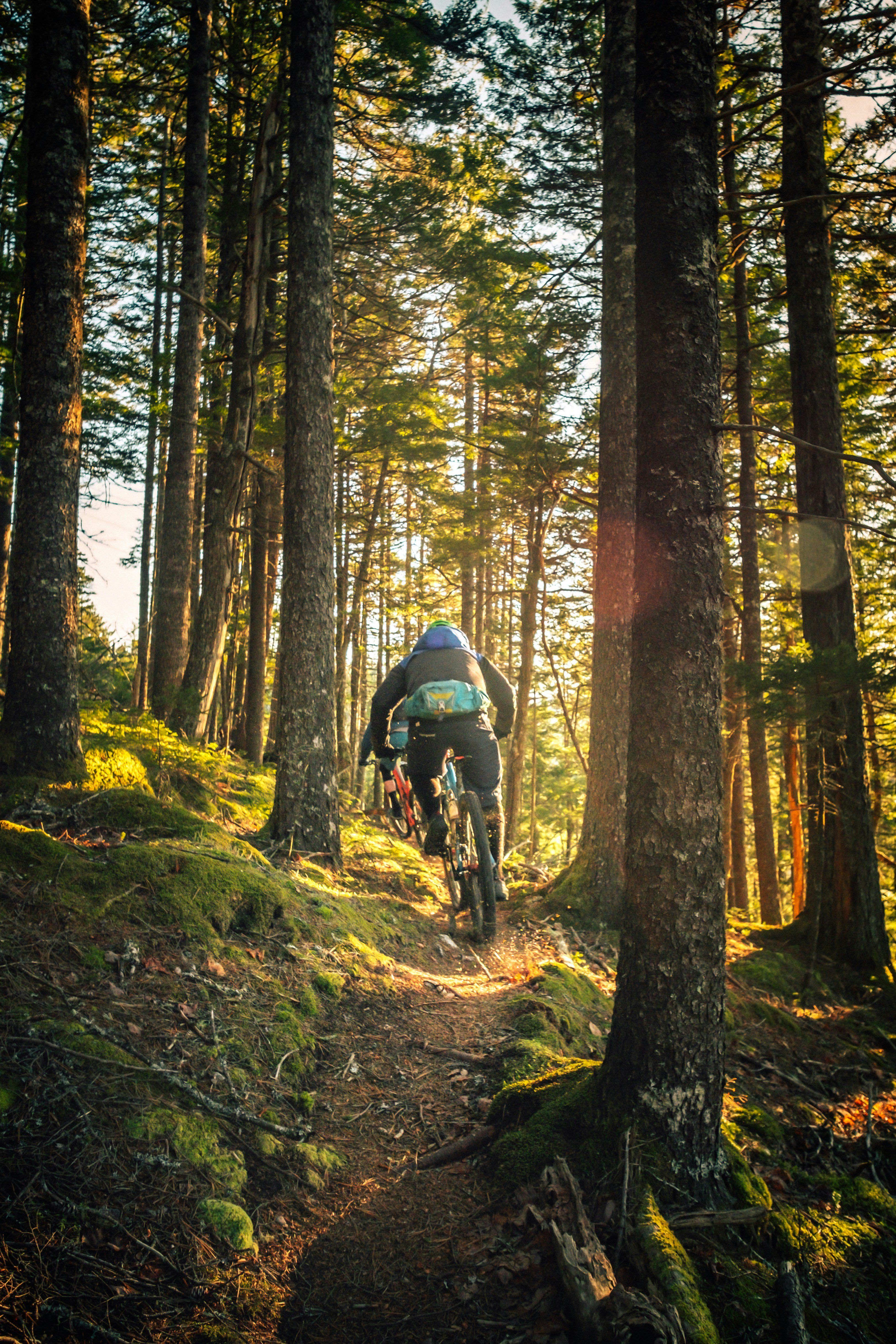 mountainbike, fietsen in Andalusië