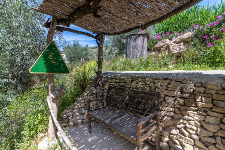 Enjoy nature sounds of olive grove with Rural tourism in Andalusia